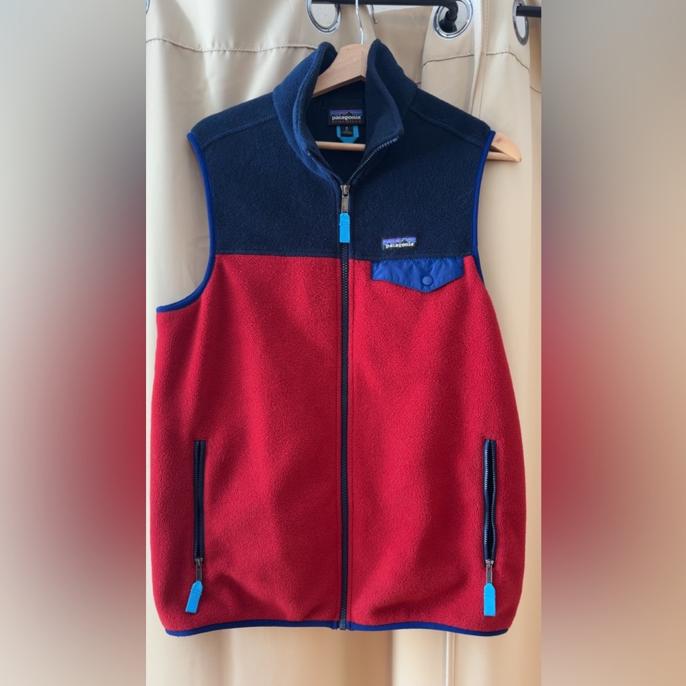 Patagonia Color-block Fleece Vest